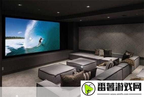 私人家庭影院335