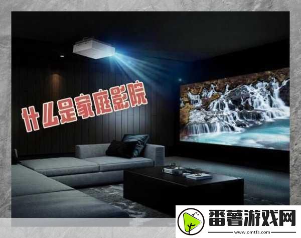 私人家庭影院335：1.-私人家庭影院335：打造您的专属观影空间