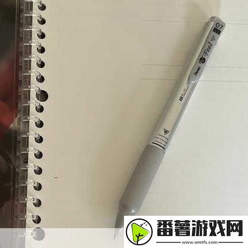 做一道题插一支笔怎么写