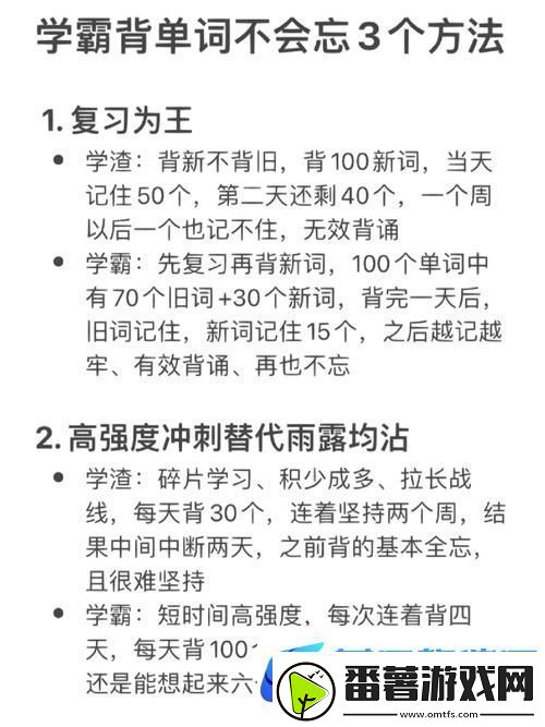 坐在学霸的鸡上背单词笔趣阁：为学习注入乐趣的奇妙旅程