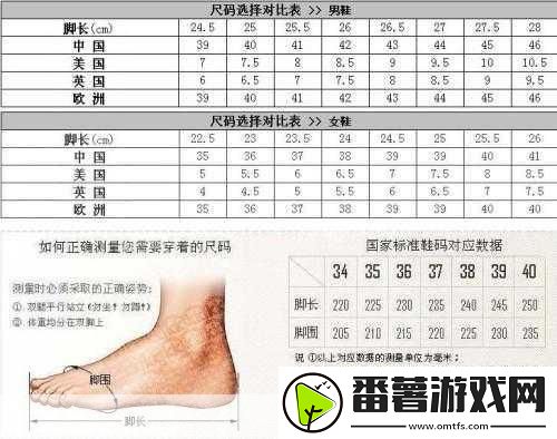 亚洲码和欧洲码一码二码三码